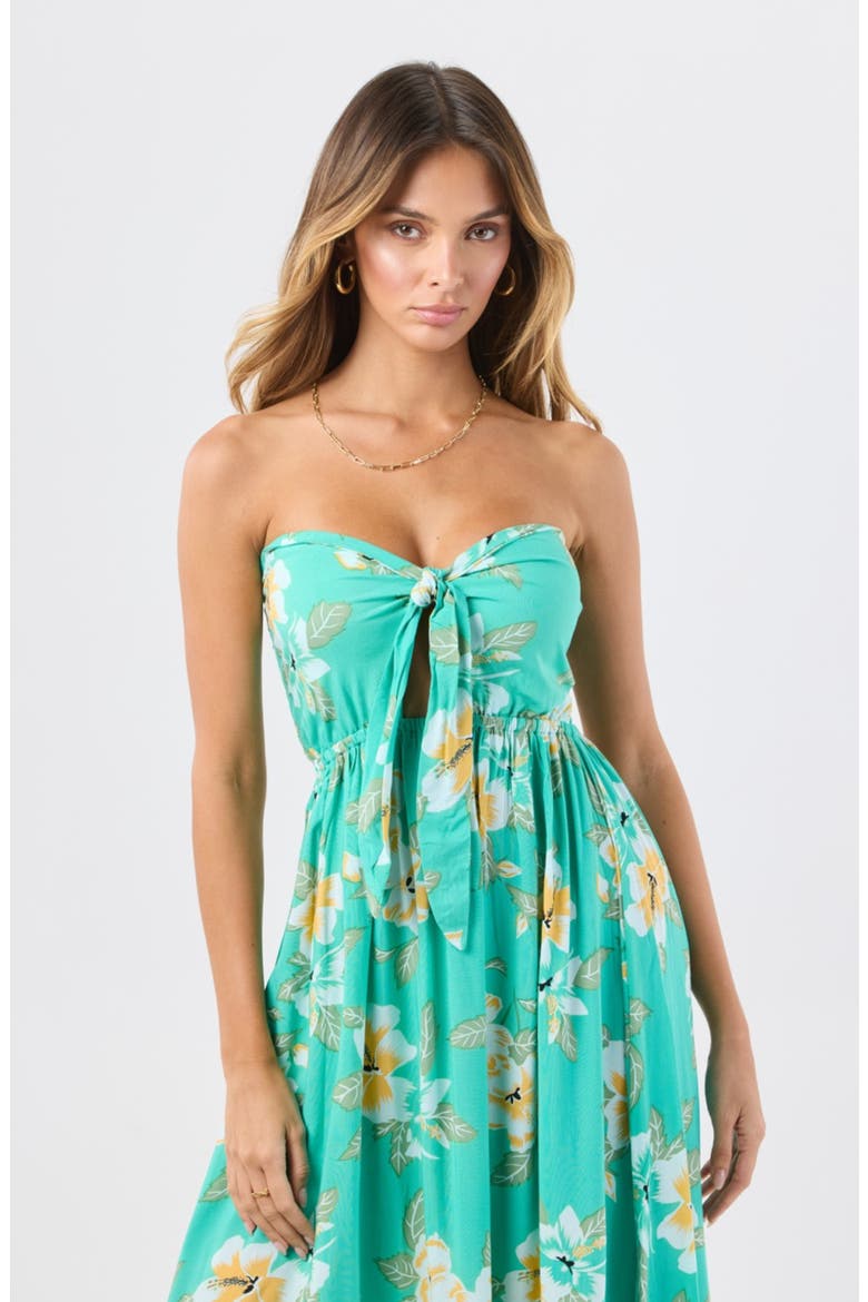 Makani Floral Strapless Maxi Dress, Alternate, color, ISLAND BLOOM TEAL