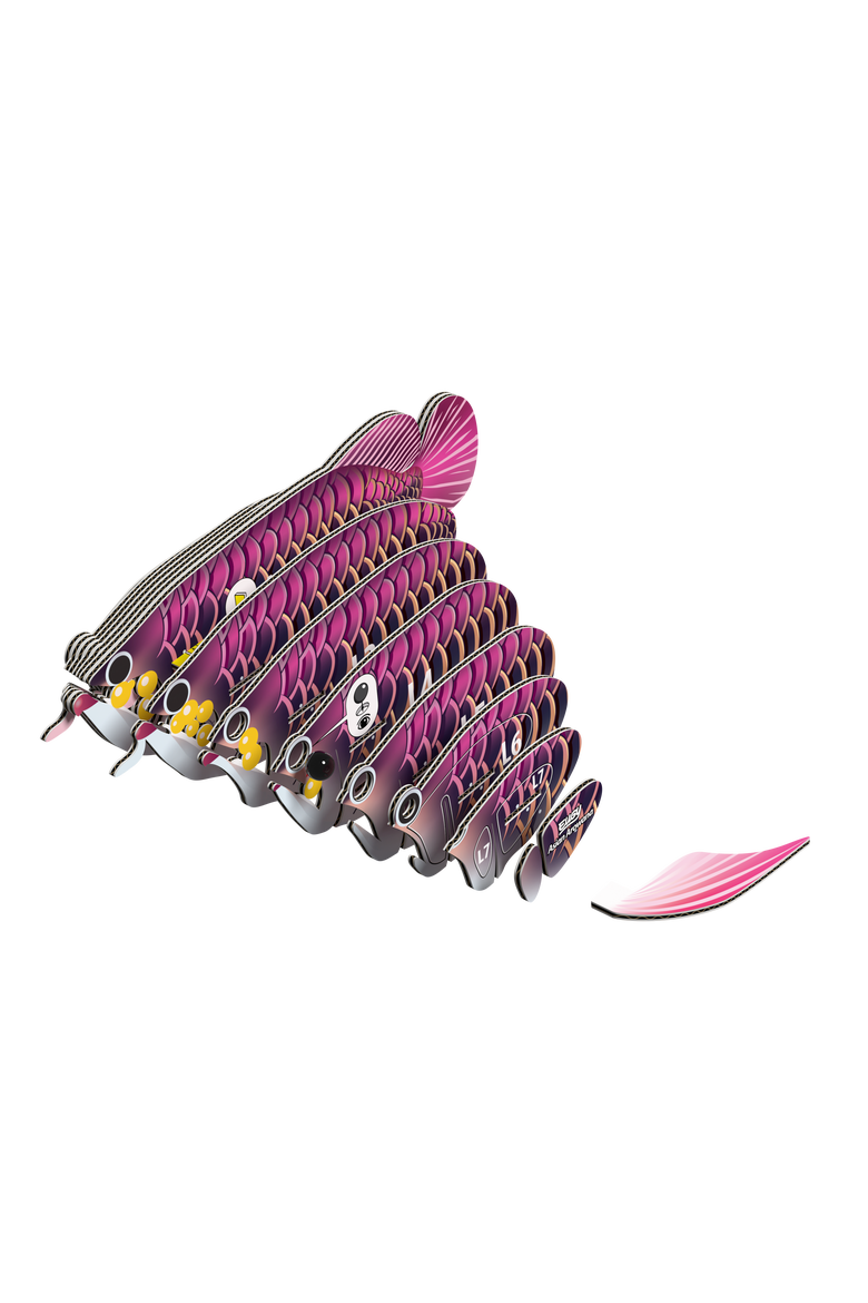 Asian Arowana 3D Puzzle, Alternate, color, No Color