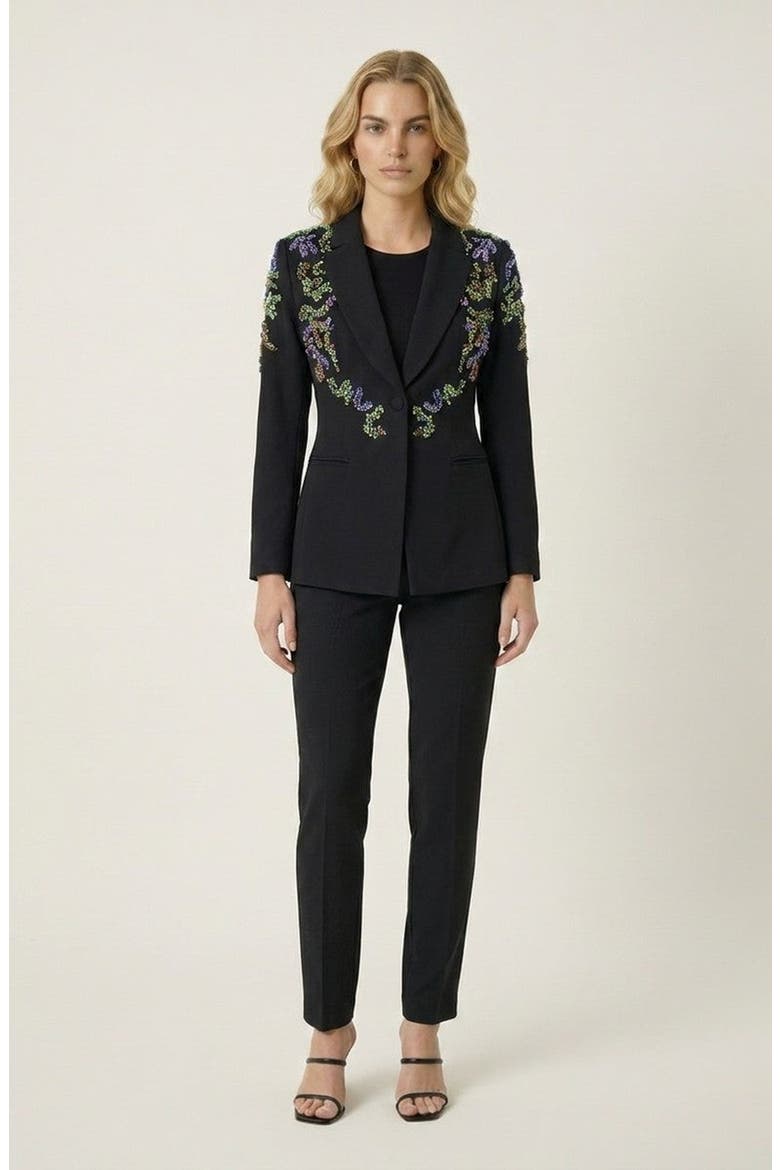 Embellished Beaded Blazer, Alternate, color, Black
