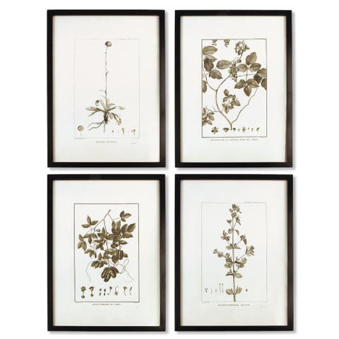 Framed Sepia-Tone Botanical Prints Set of 4