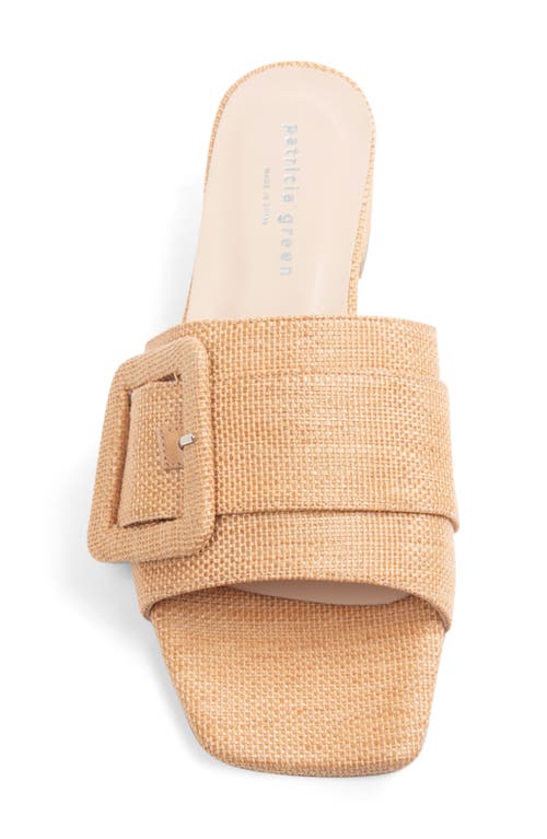Patricia Green Bali Slide Sandal In Natural Raffia
