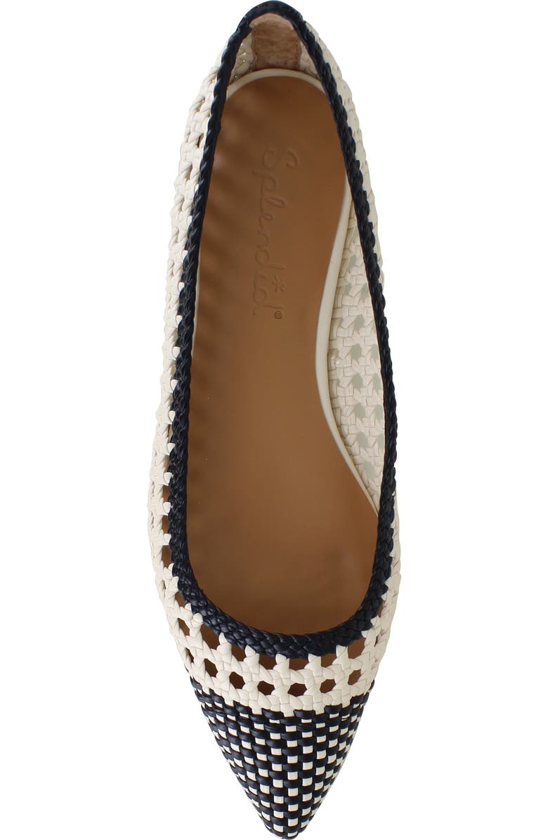 Splendid Nelly Pointed Toe Flat, Alternate, color,