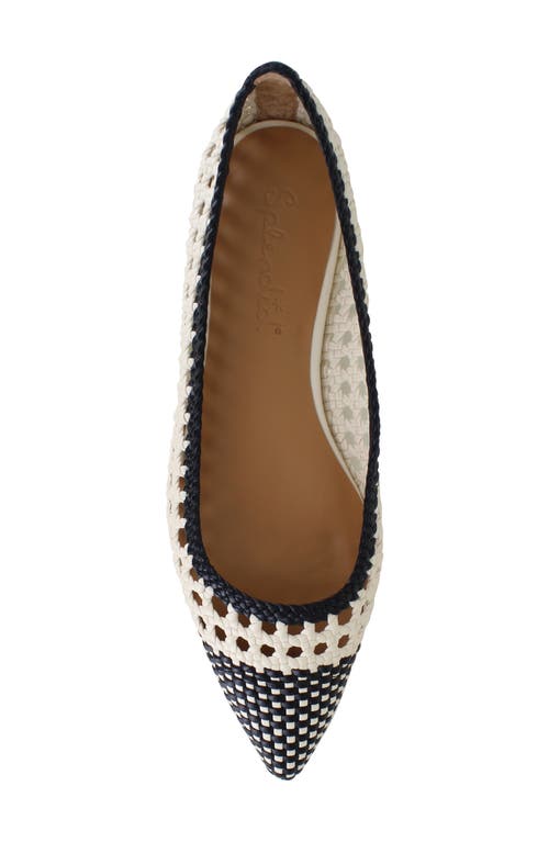 Splendid Nelly Pointed Toe Flat In Black/oat