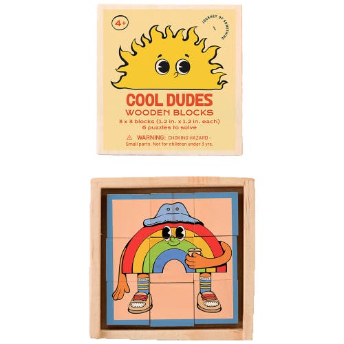 Journey of Something Cool Dudes Wooden Blocks, 6 Puzzles To Solve, 1.2 x 1.2 Inches in Multicolored  product