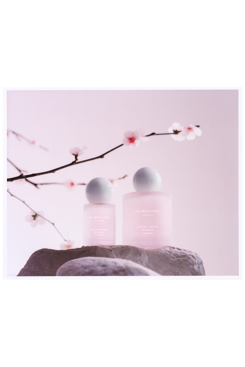 Sakura Cherry Blossom Cologne (Limited Edition) | Nordstrom