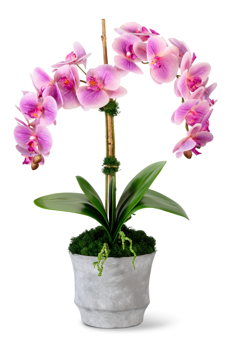 Rosalyn RealTouch Orchid, Main, color, Periwinkle