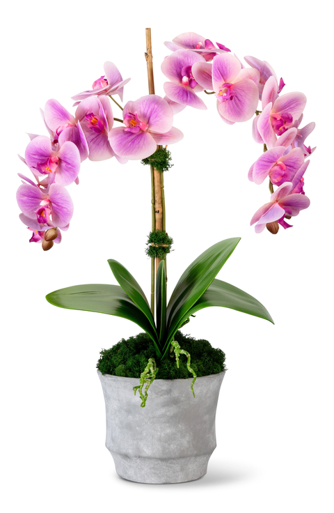 Rosalyn RealTouch Orchid