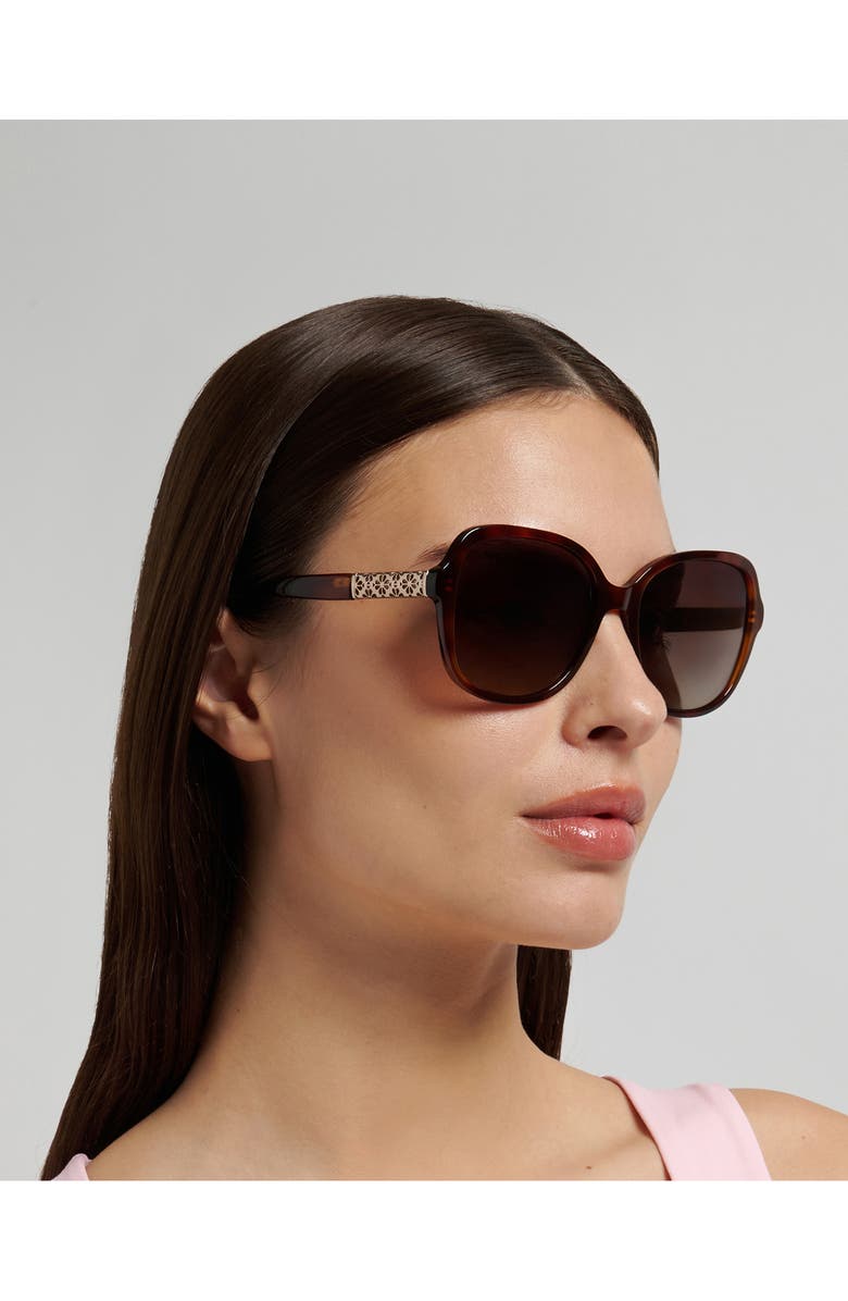 Kate Spade New York eliza 57mm gradient round sunglasses, Alternate, color, Havana/ Brown