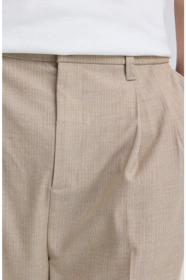 Stripe Pleated Trousers, Alternate, color, ISLAND FOSSIL
