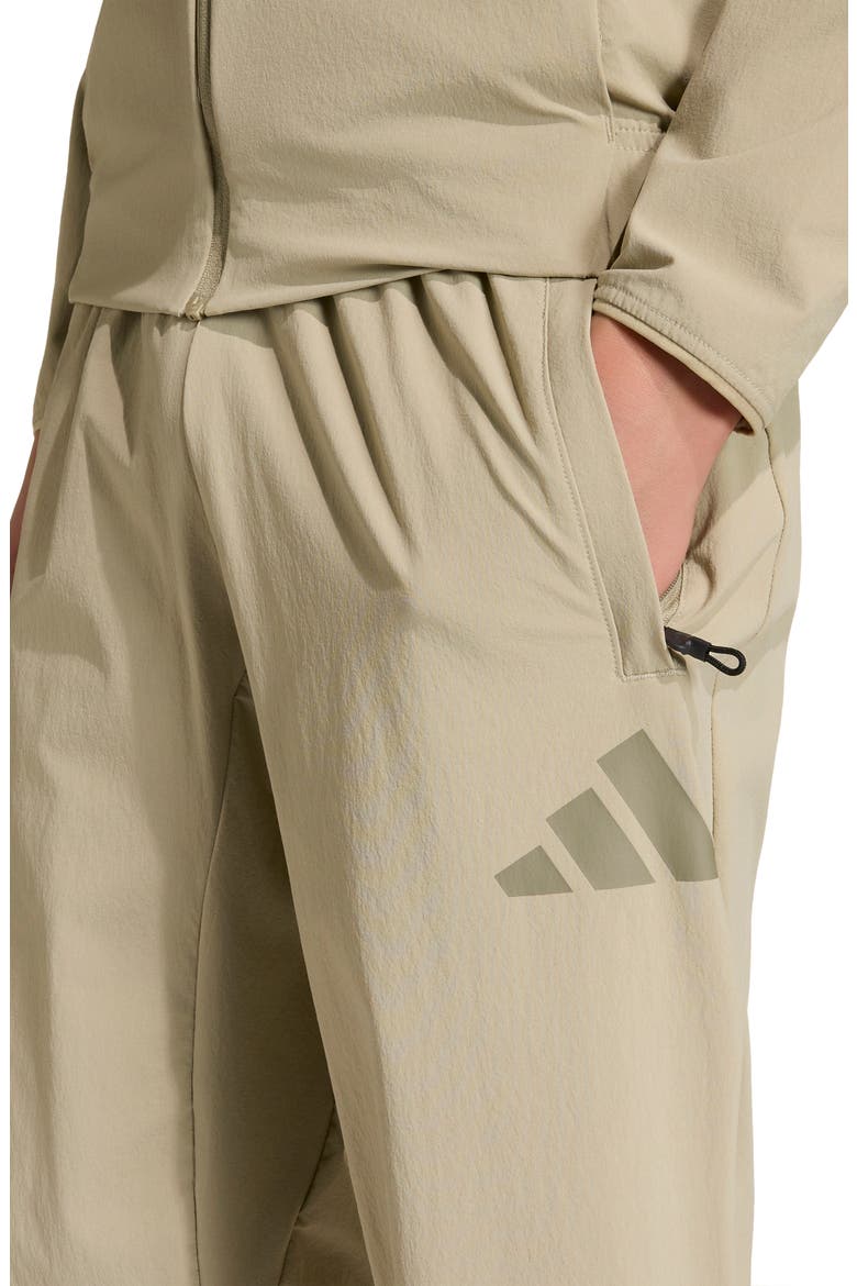 Kids' Z.N.E. Woven Travel Pants, Alternate, color, WONDER CARGO/ CLAY