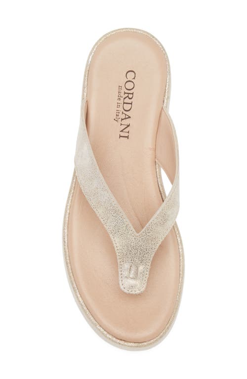 Cordani Kendra Platform Flip Flop In Soft Gold