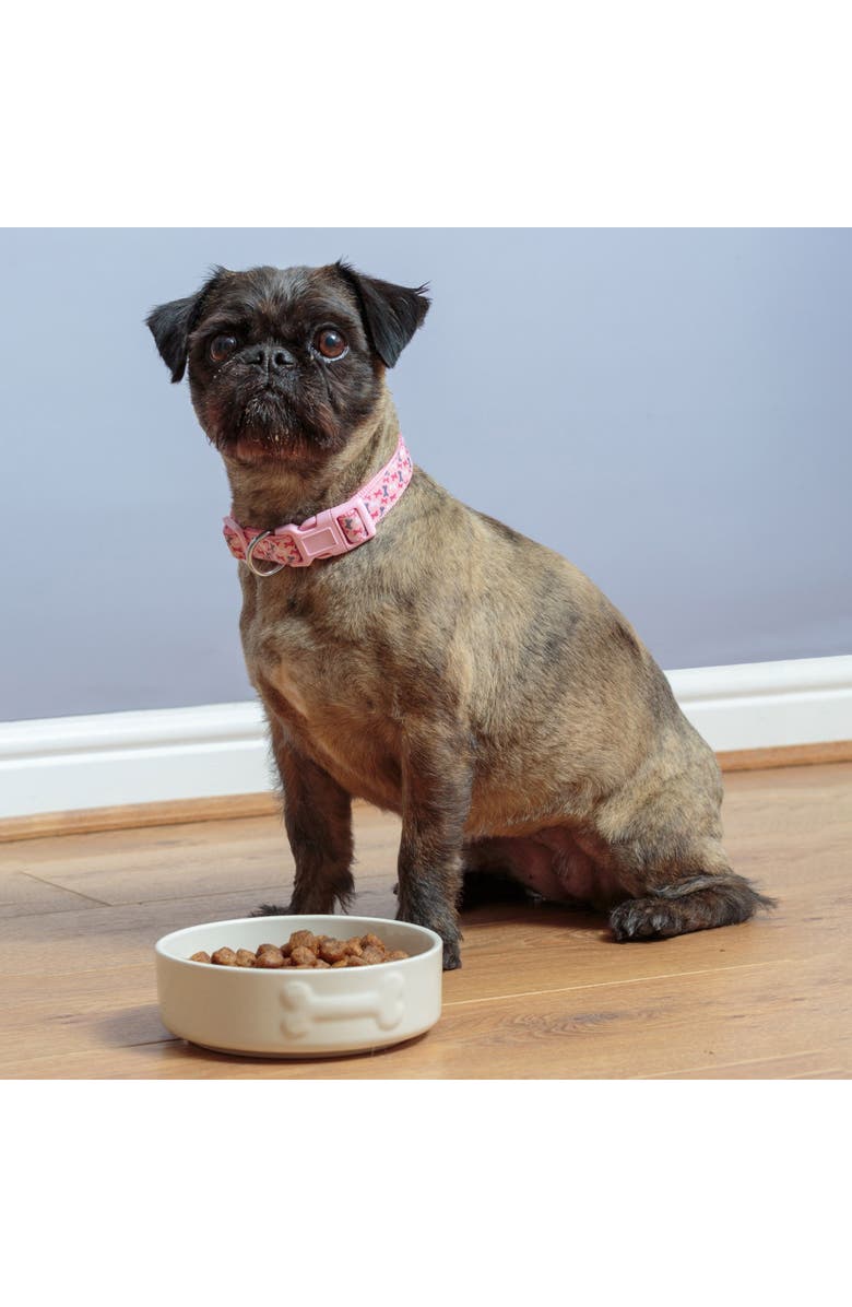 MASON CASH Embossed Bone 17oz Dog Food and Water Bowl, Alternate, color, Beige