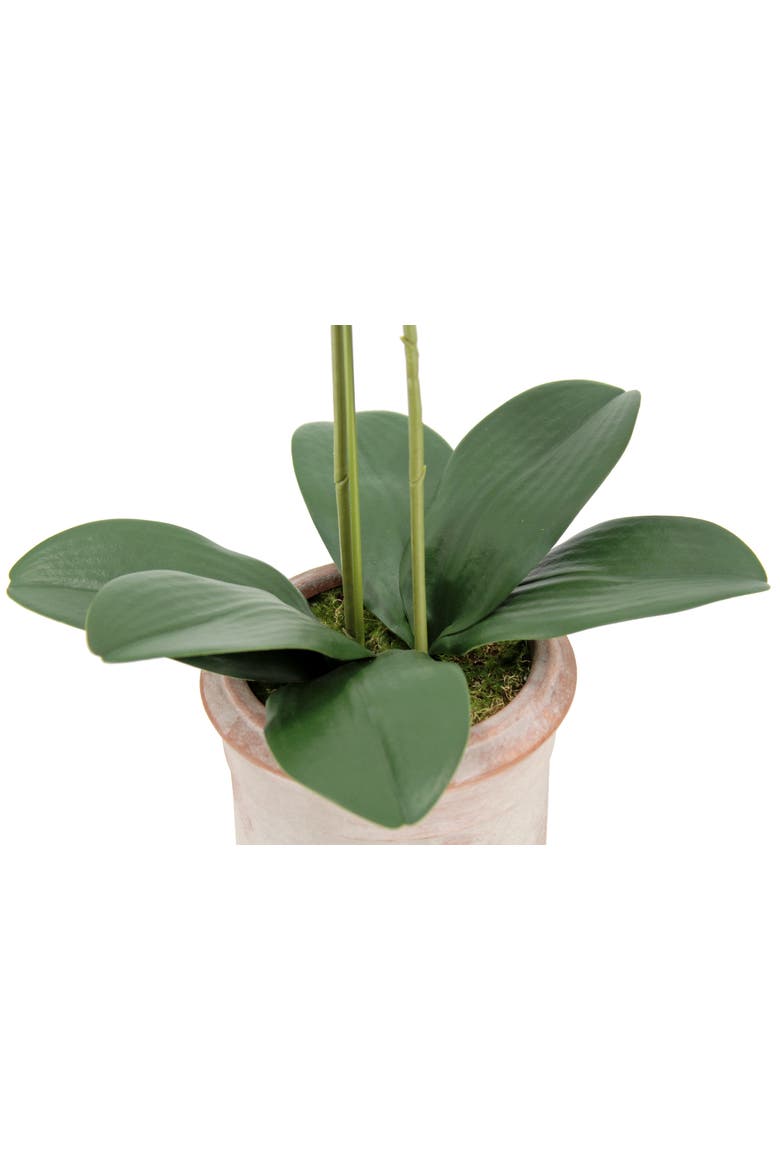 Artificial 2-Stem Phalaenopsis Pink Orchid, Alternate, color, White