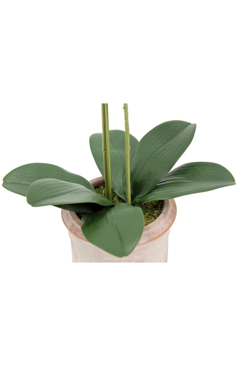 CG Hunter Artificial 2-Stem Phalaenopsis Pink Orchid, Alternate, color, White