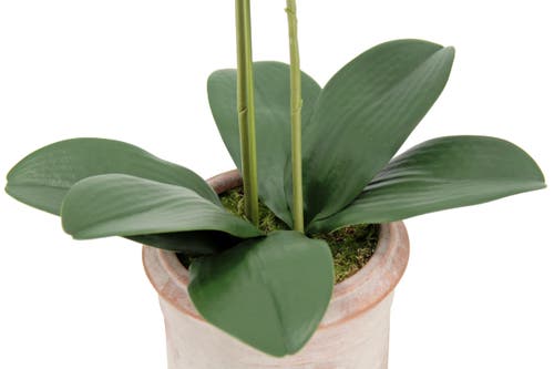 Cg Hunter Artificial 2-stem Phalaenopsis Pink Orchid In White