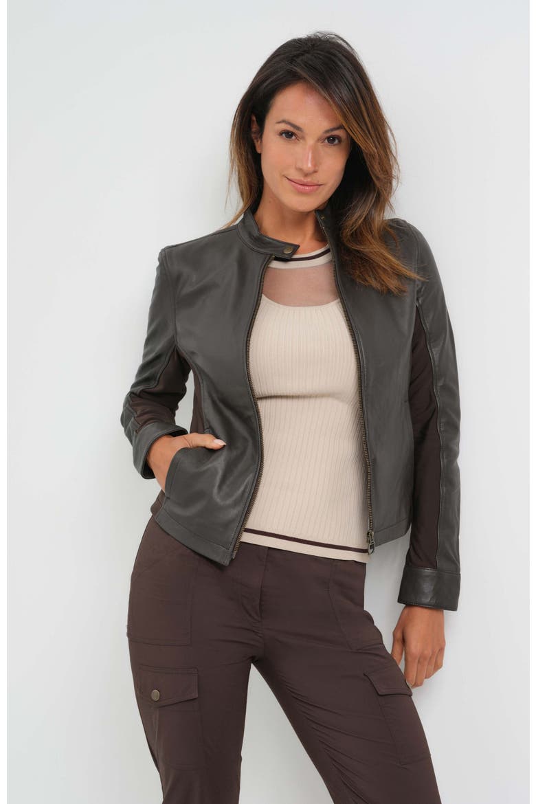 Kensington Mixed Media Moto Leather Jacket, Alternate, color, Espresso