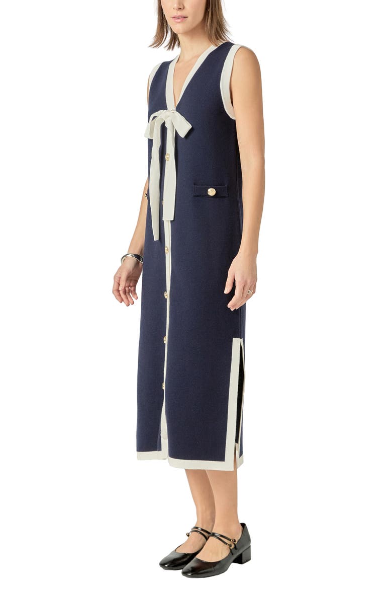 Sleeveless Sweater Dress, Alternate, color, NAVY/ WHITE