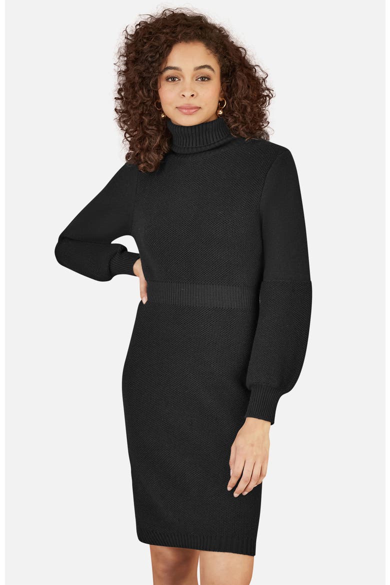 Roll Neck Knitted Dress, Alternate, color, Black