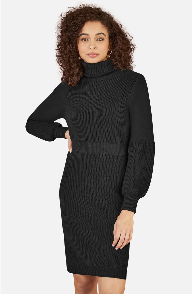 Yumi Roll Neck Knitted Dress, Alternate, color, Black