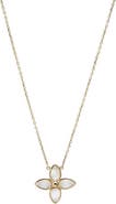 BY ADINA EDEN Mother Of Pearl Bezel Flower Necklace 14K