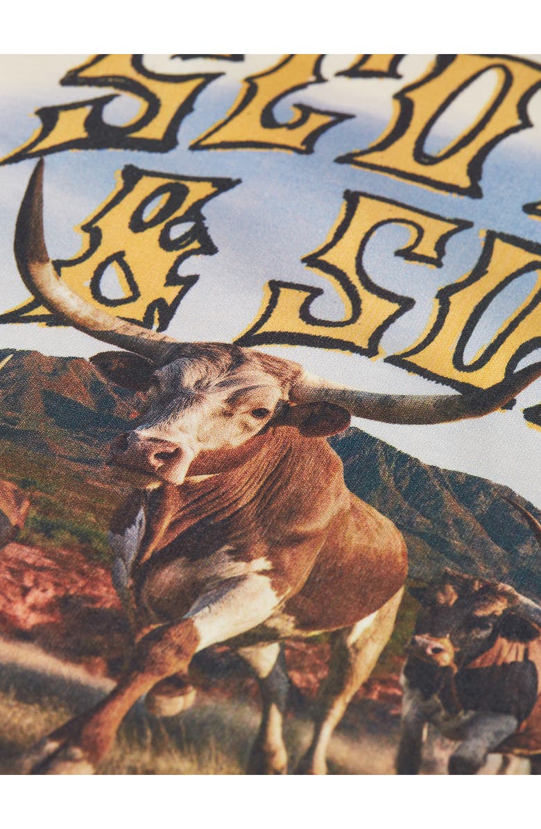 Scotch & Soda Kids' Western Graphic T-Shirt, Alternate, color, Eggnog