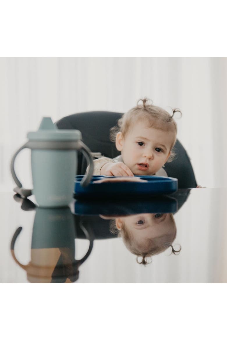 Set - Silicone Feeding Set, Alternate, color, Navy