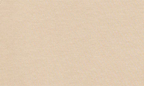 Carhartt Work In Progress Chase Fleece Hoodie In Dusky Beige/gold