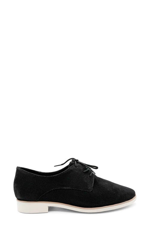 Chelsea Crew Buck Derby In Black Nubuck