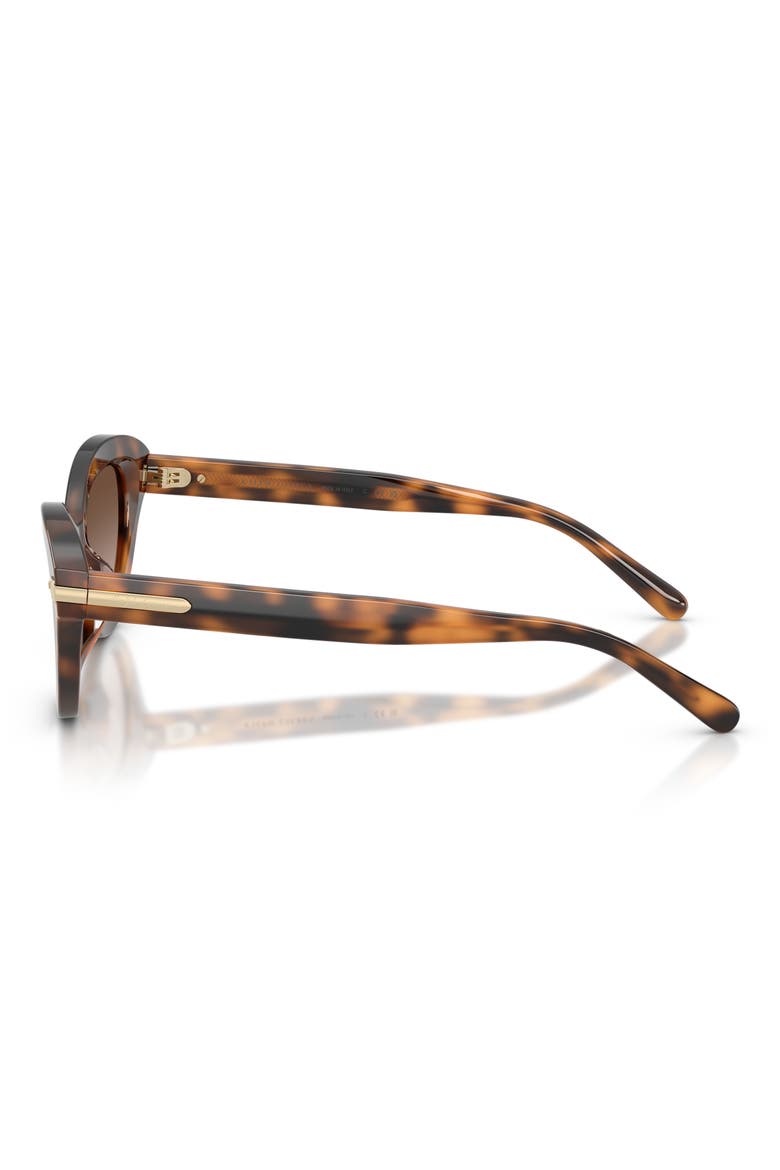RL8236U 54mm Cat Eye Sunglasses, Alternate, color, HAVANA / GRADIENT BROWN