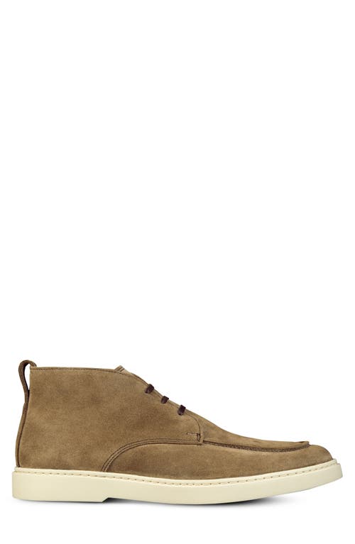 Allen Edmonds Harris Chukka Boot In Brown