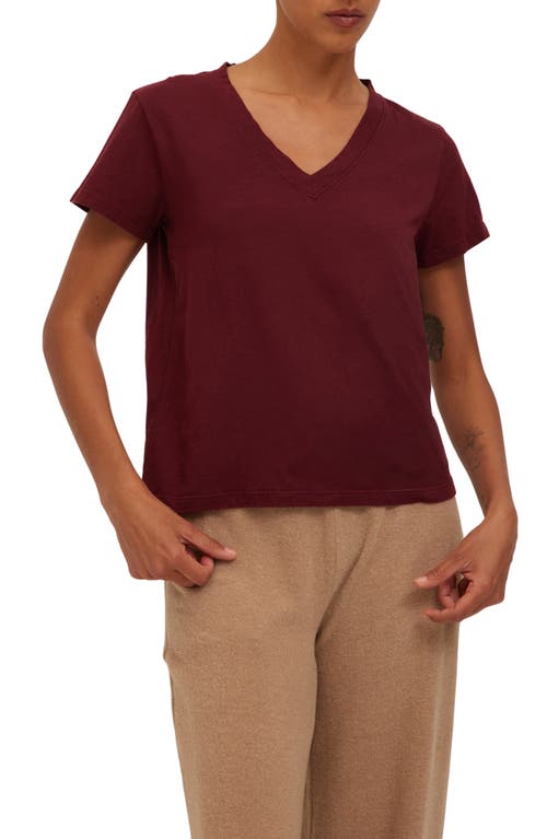 Project Social T The Must Have V-neck T-shirt In Dark Cherry