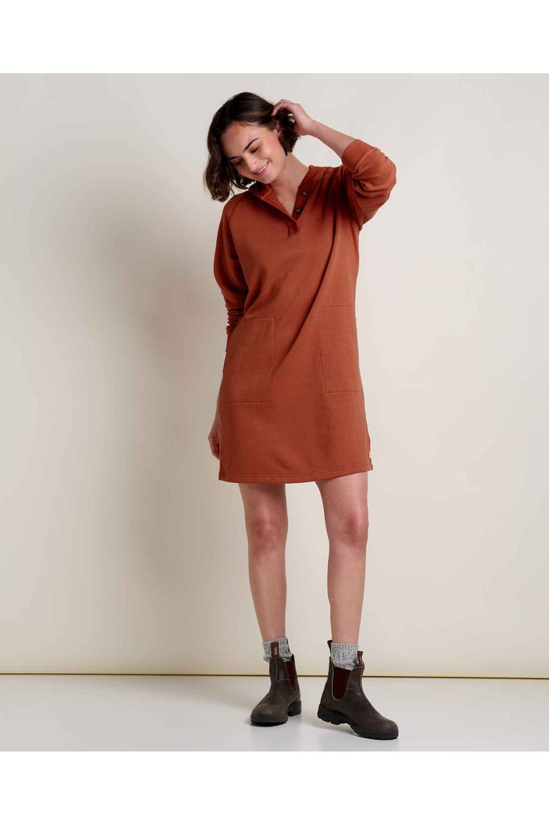 Fernscape Long Sleeve Hooded Dress, Alternate, color, Dark Roast
