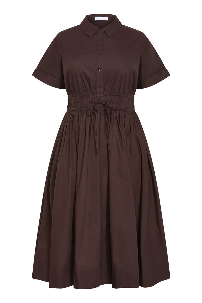 Lana Shirtdress, Alternate, color, CHOCOLATE