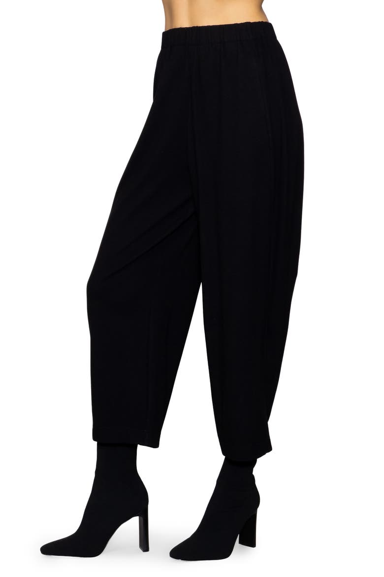 Brushed Crop Pants, Alternate, color, BLACK