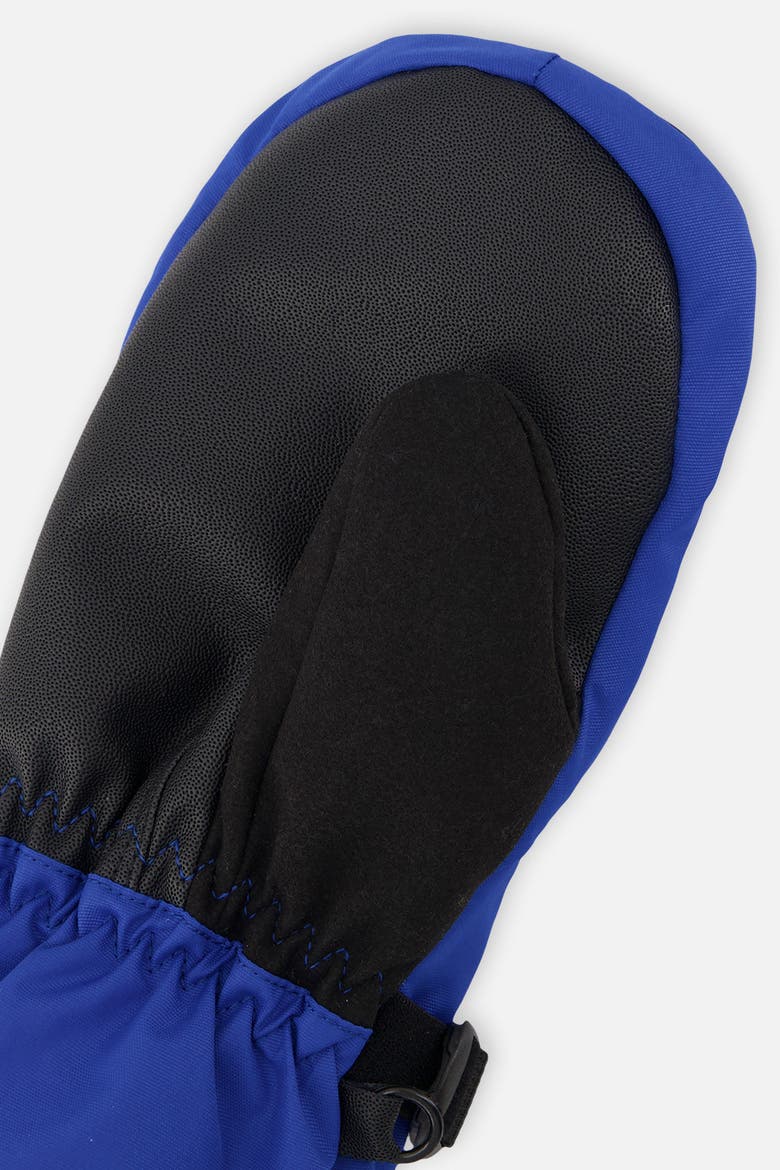 Boy Waterproof Teknik Cordura Winter Mittens, Alternate, color, Royal Blue