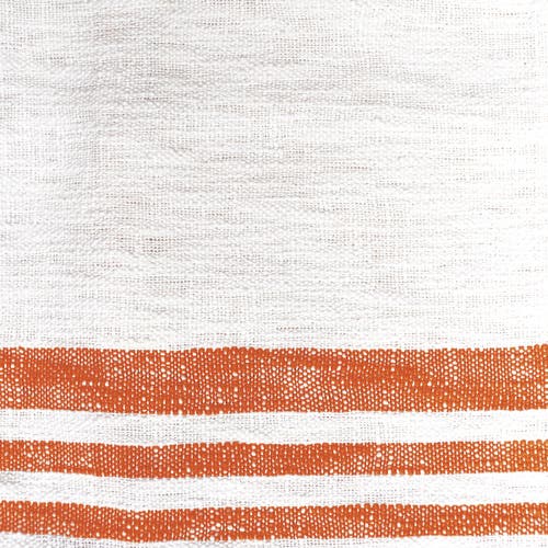 Carol & Frank 50" X 60" Morgan Tasseled Woven Throw In Orange