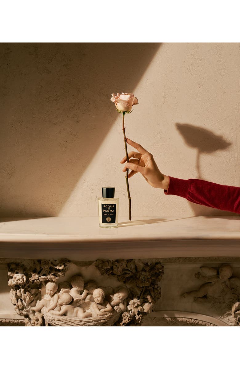 Acqua di Parma Luce di Rosa Eau de Parfum, Alternate, color, 