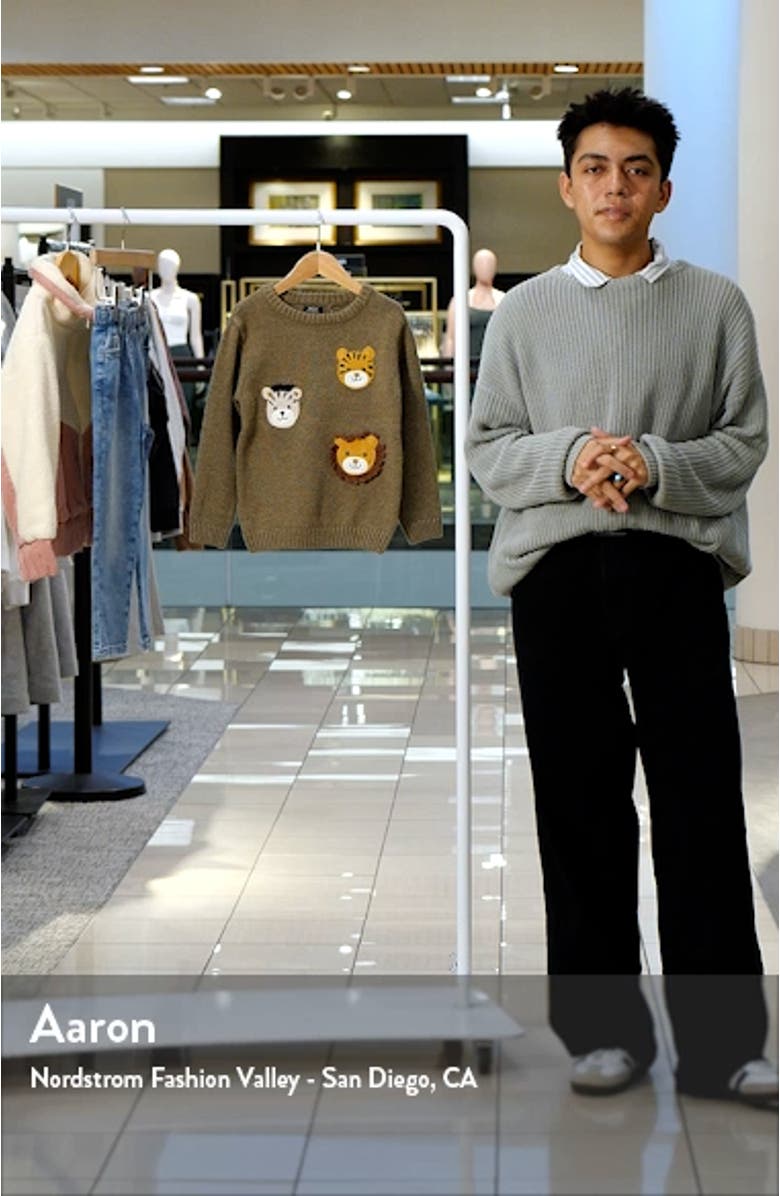 Kids' Safari Appliqué Cotton Graphic Sweater, sales video thumbnail