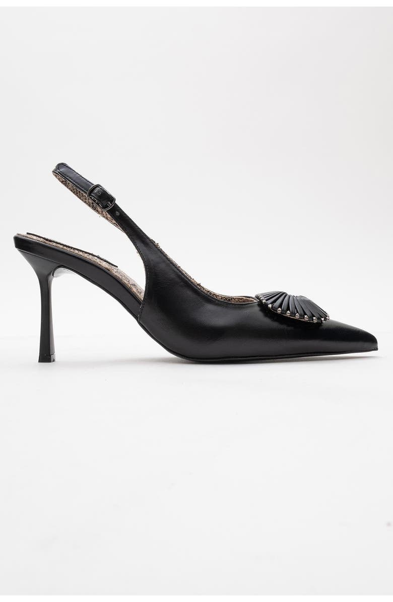 Prologue Shoes Spera Buckled Pointed Toe Pump, Alternate, color, Black Pattern