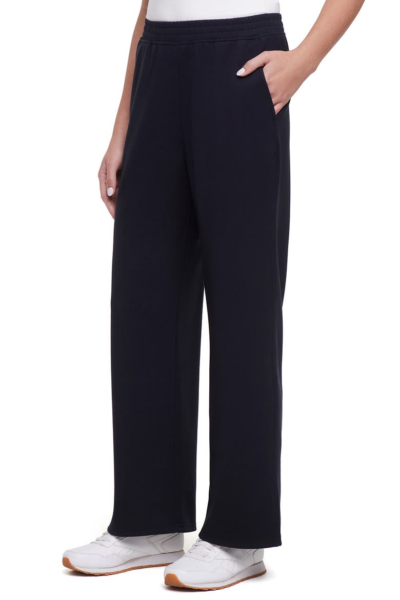Lana Straight Leg Sweatpants, Alternate, color, BLACK BEAUTY