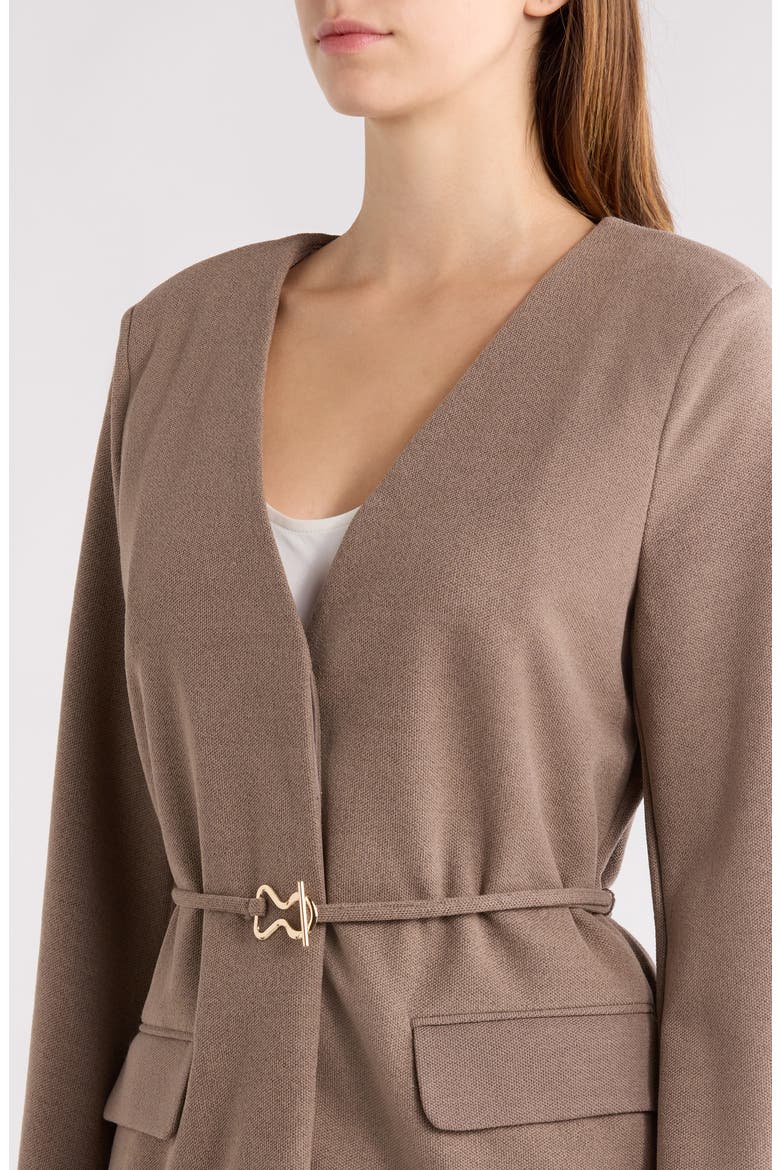 Belted Jacket, Alternate, color, BROWN