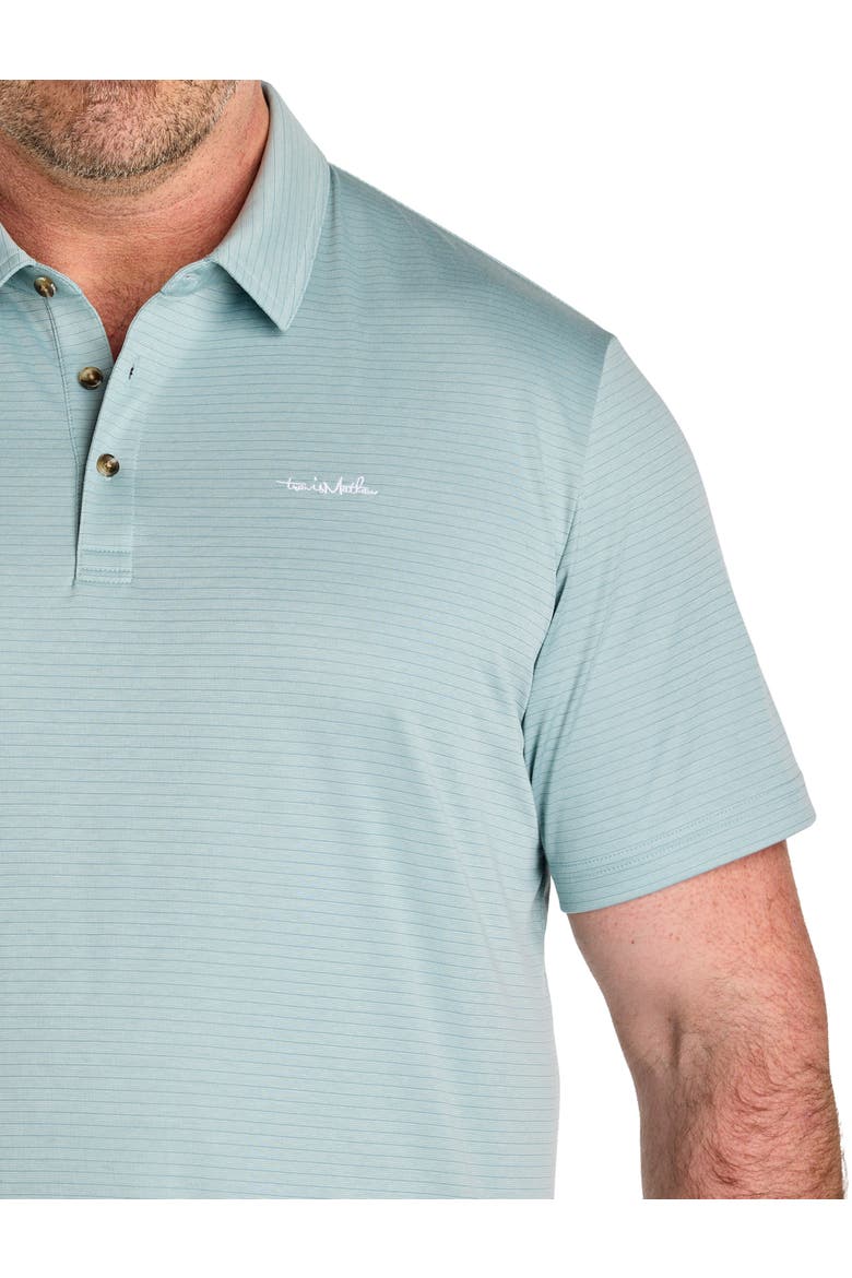 Big & Tall The Zinna Polo Shirt, Alternate, color, ARONA