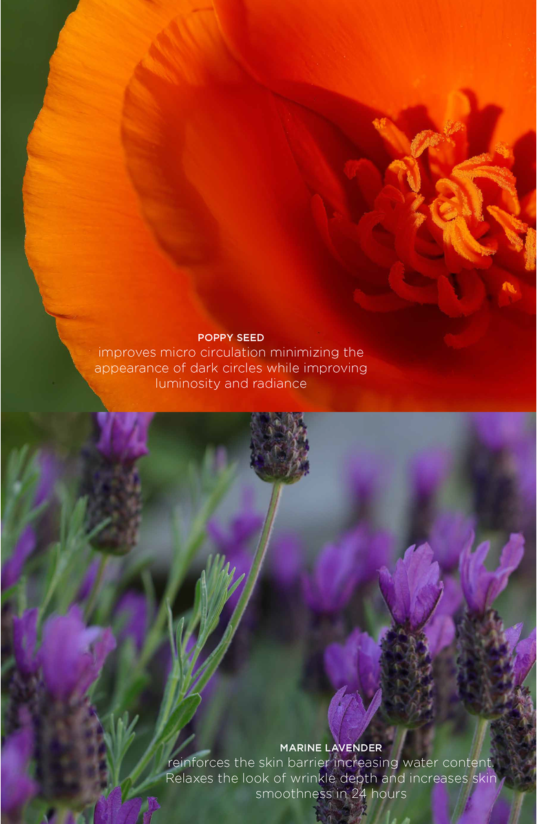 Intelligent Nutrients Liquid Green<sup>®</sup> Revival Eye Whip, Alternate, color, NO COLOR