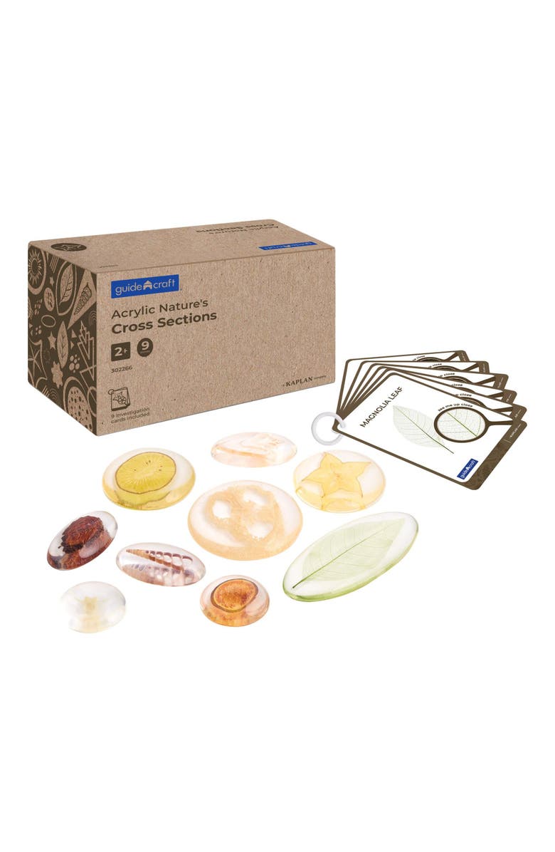 Kaplan Early Learning Company Acrylic Nature's Cross Sections, Main, color, Multicolored