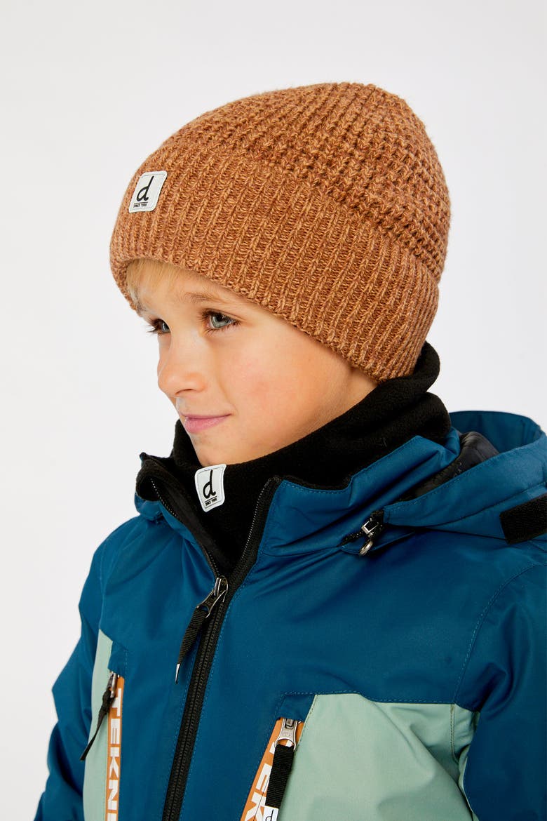 Winter Ribbed Fleece Lined Rolled Cuff Knit Hat, Alternate, color, Brown Sugar