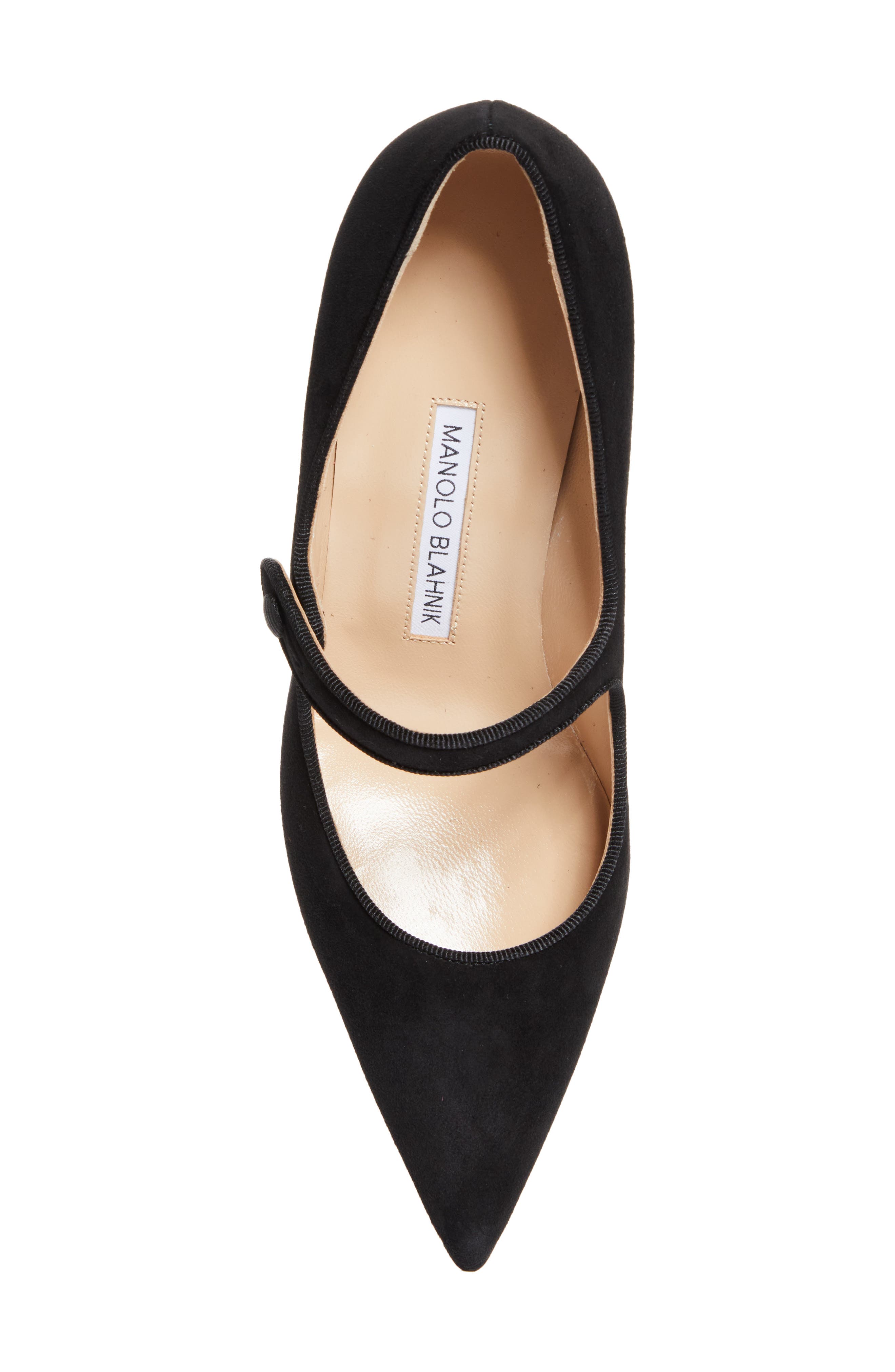 Manolo Blahnik Campariba Pointed Toe Mary Jane Pump, Alternate, color, Black