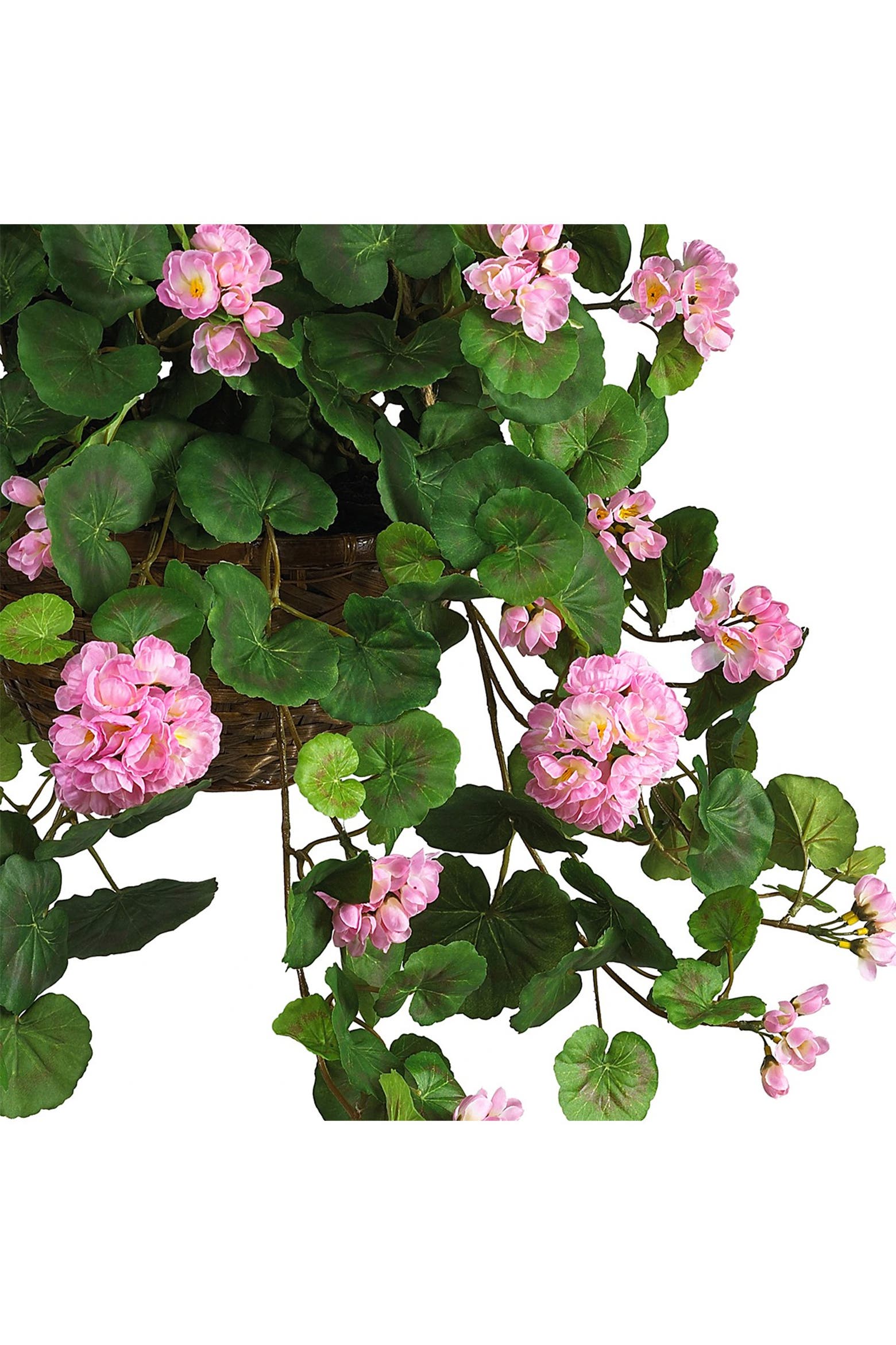 Is Geranium Native NEARLY NATURAL Geranium Hanging Basket Artificial Plant | Nordstrom