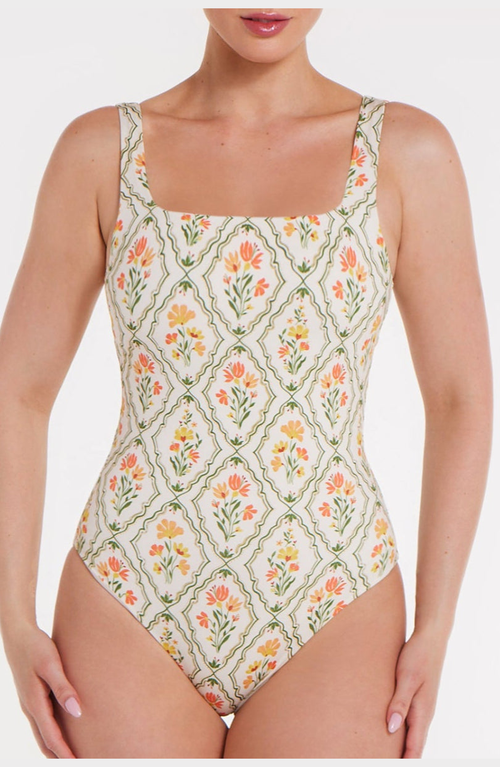 Hermoza Janece Seamless Square Neck One-piece Swimsuit In Multi