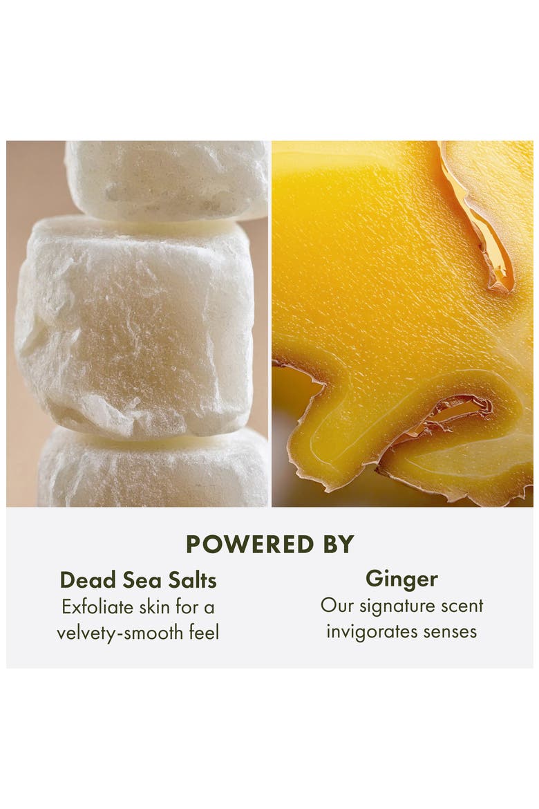Ginger Body Scrub™ Smoothing Body Buffer, Alternate, color, NO COLOR