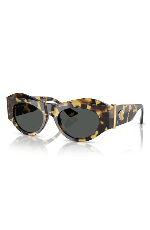 Versace 52mm Oval Sunglasses In Havana